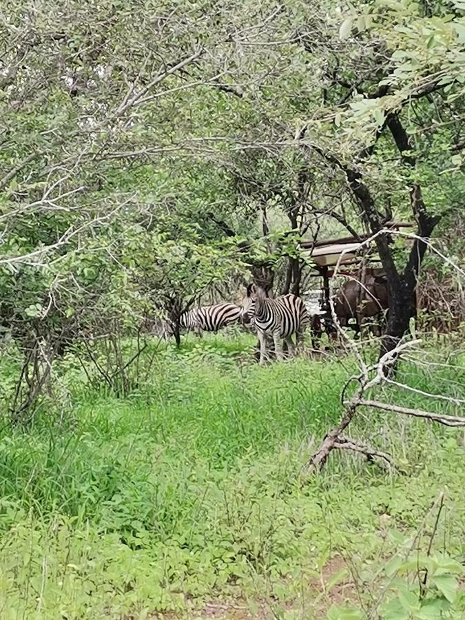 Unogwaja Rest Ferienhaus Marloth Park